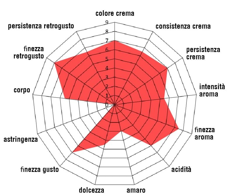 100% ARABICA BIOLOGICO 100% ARABICA ORGANICA BLEND