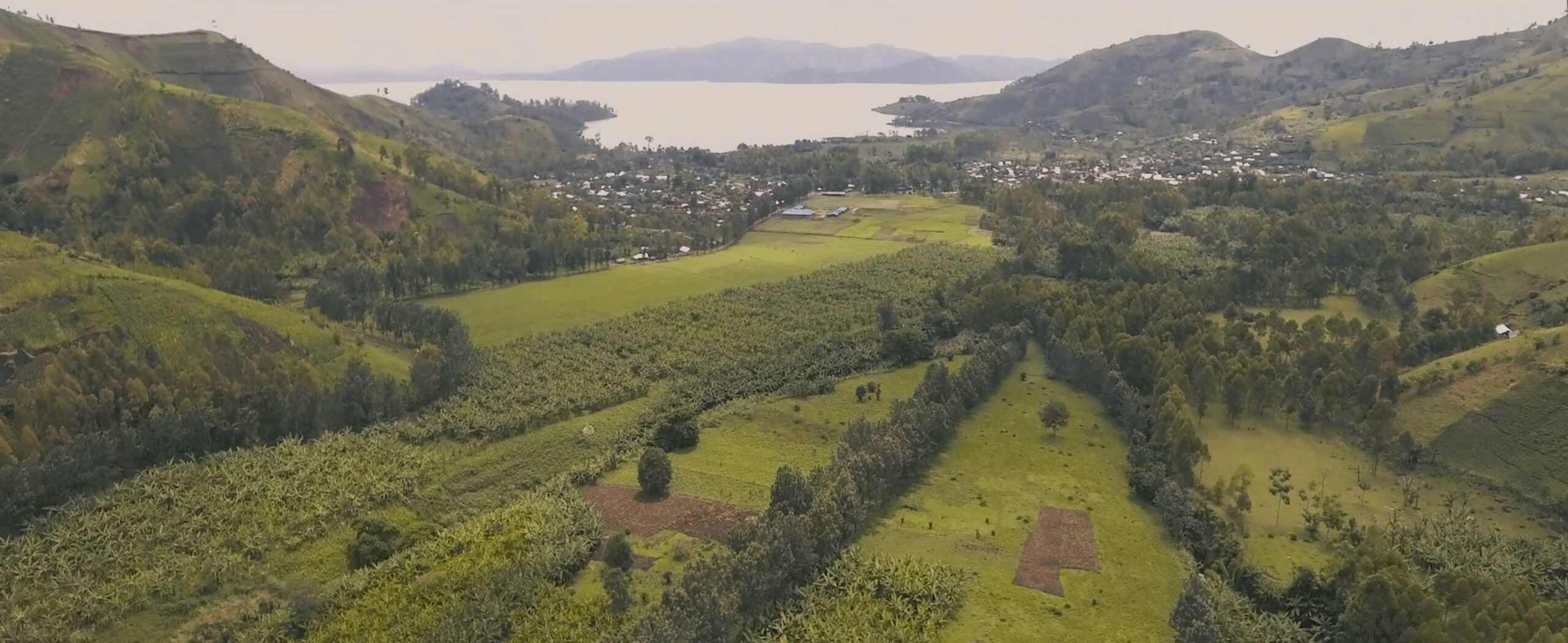 SHASHA VIEW INLAND-min