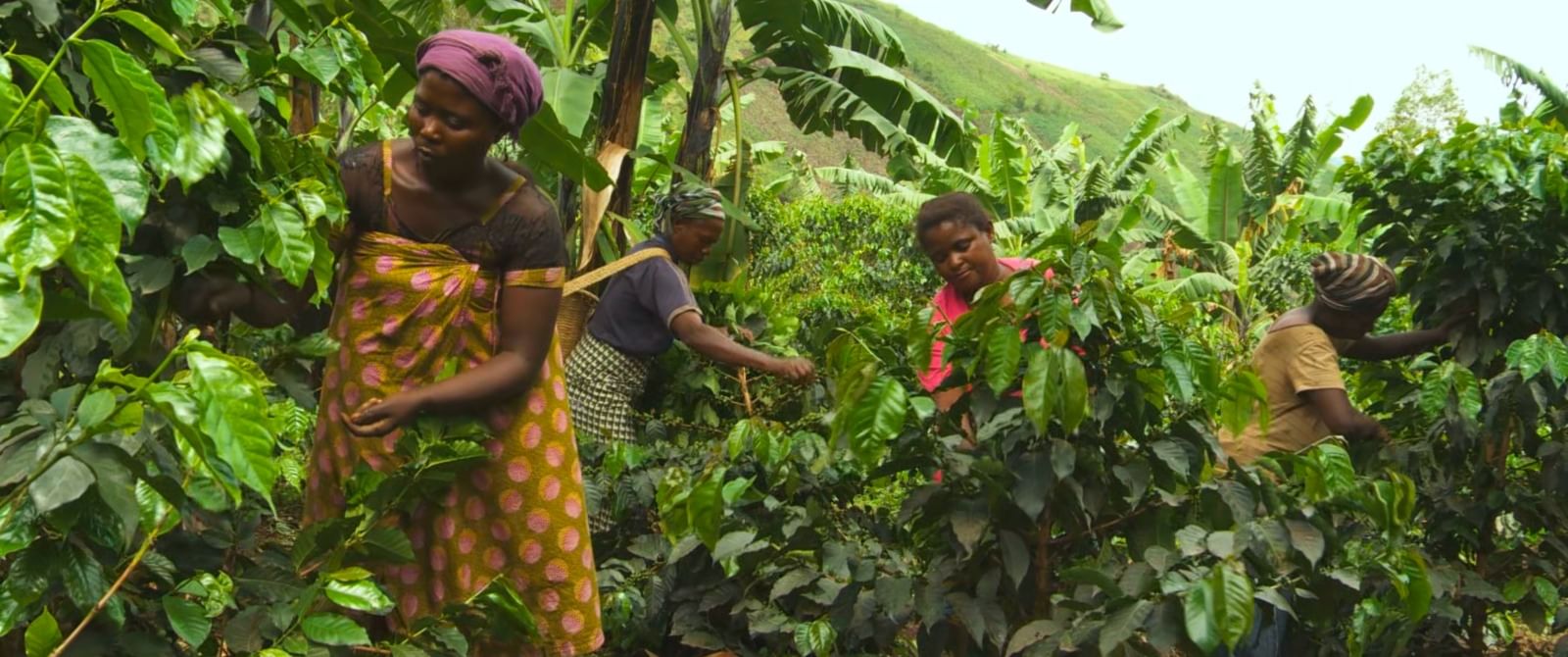 ee770d32-77a8-4e19-9a9f-e892b7de4f73