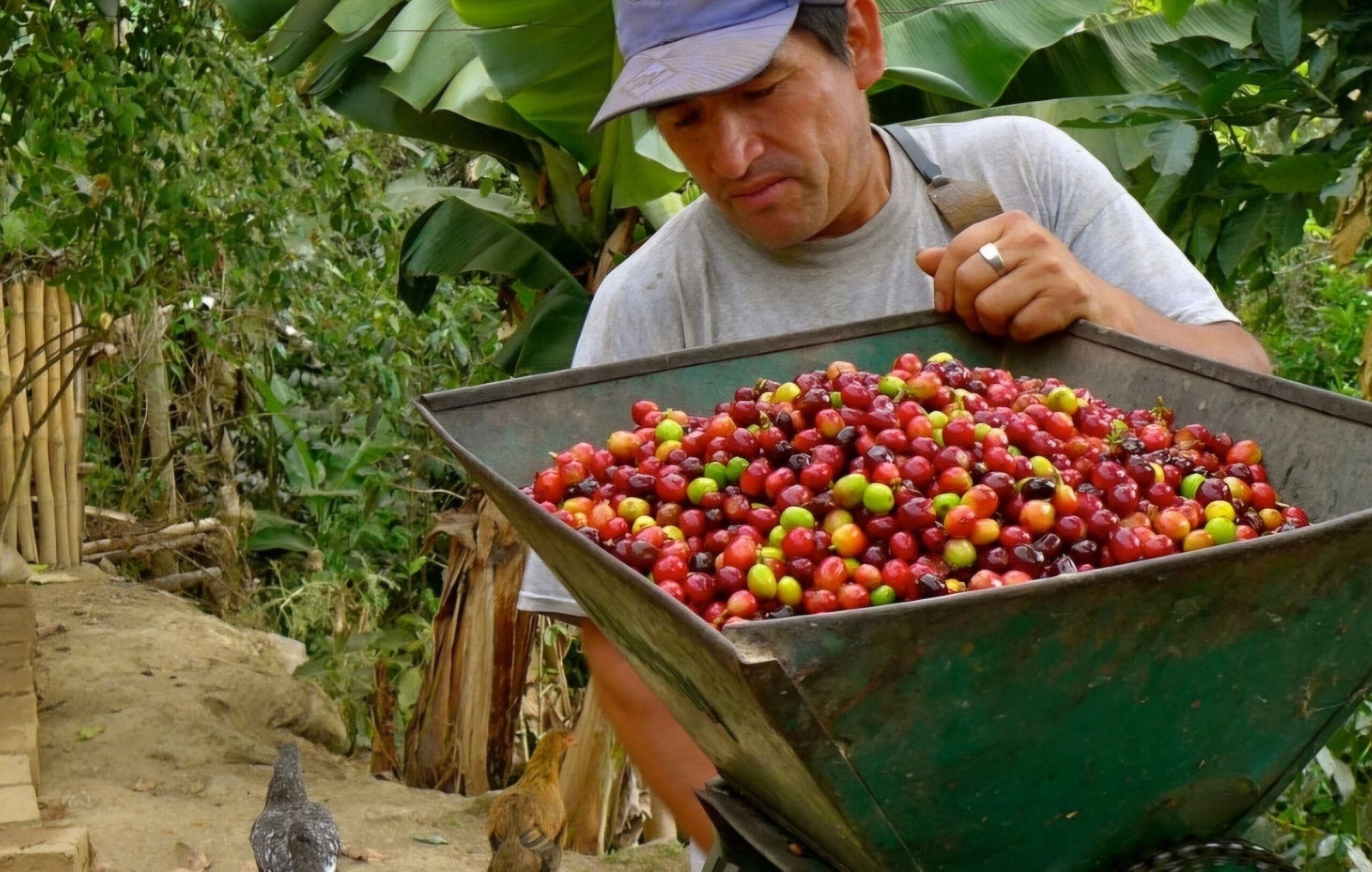 Colombia