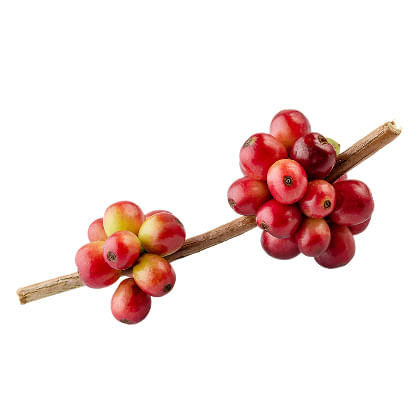 Buono per te, per le persone e per il pianeta