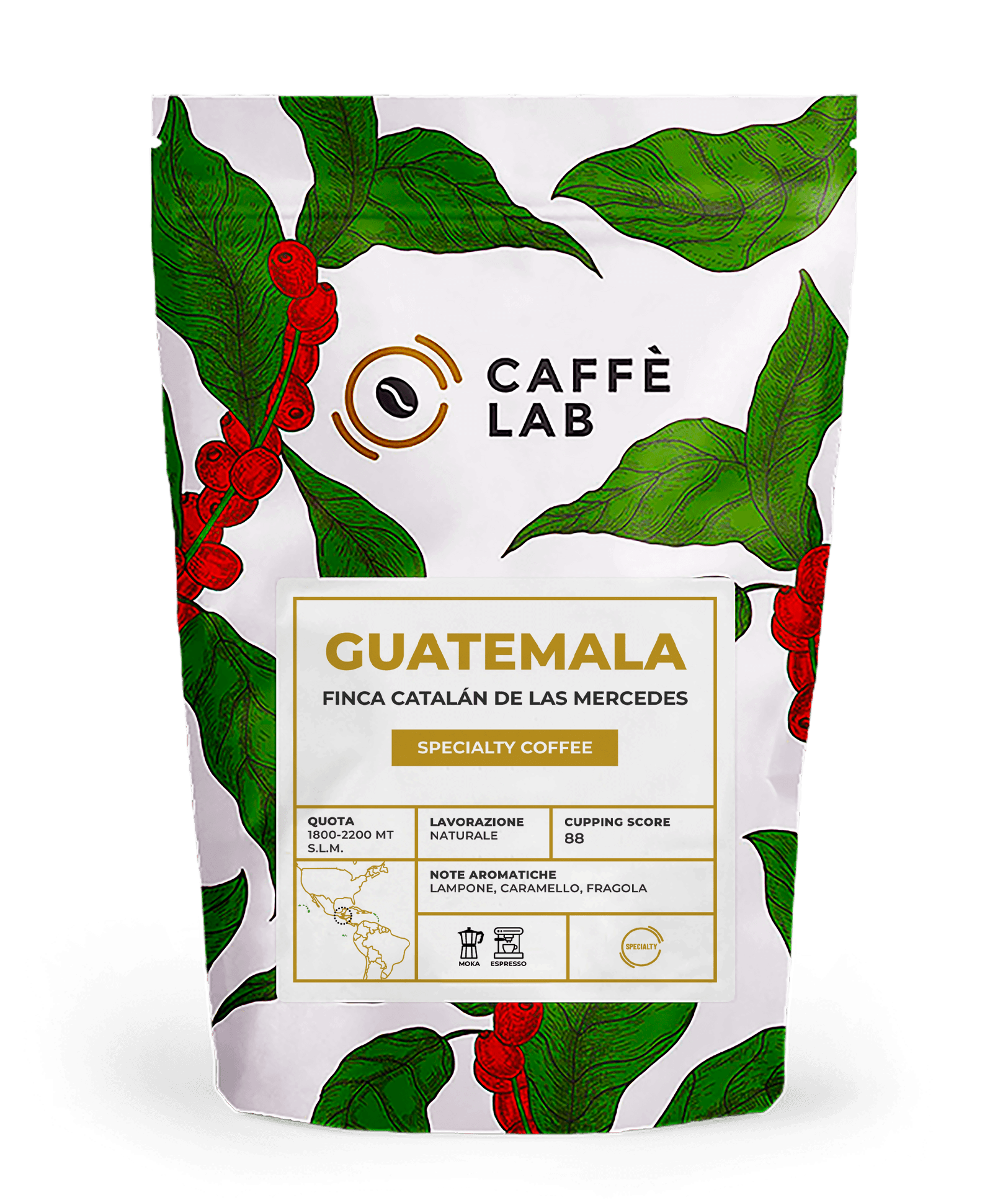 GUATEMALA Catalan Mercedes RENDER ESPRESSO GUATEMALA Catalan Mercedes RENDER ESPRESSO